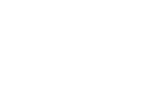 03 Logo SANY blanco